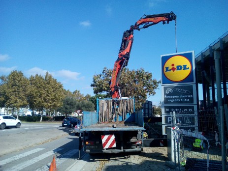 Grua pluma colocando el letrero del LIDL en Girona